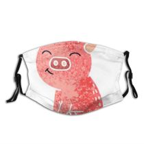 yanfind Pig Crazy Quirky Farm Funny Doodle Artwork Art Cartoon Cute Dust Washable Reusable Filter and Reusable Mouth Warm Windproof Cotton Face