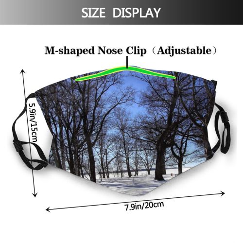 yanfind Winter Landscape Landscape Sky Plant Tree Sweden Branch Snow Plant Winter Natural Dust Washable Reusable Filter and Reusable Mouth Warm Windproof Cotton Face