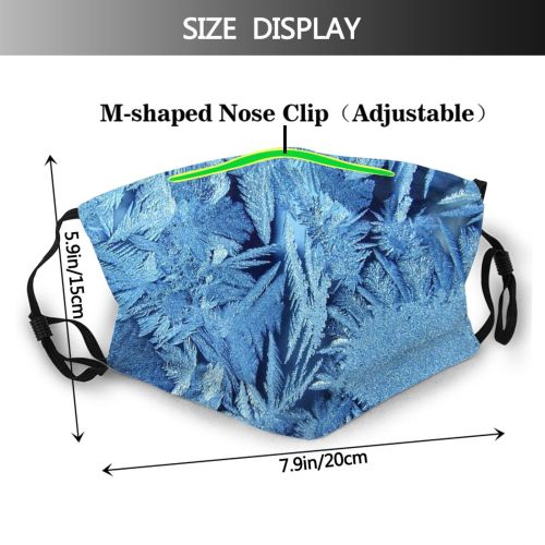 yanfind Winter Texture Plant Glass Ice Ice Frost Winter Freezing Dust Washable Reusable Filter and Reusable Mouth Warm Windproof Cotton Face