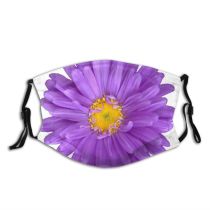 yanfind Plant Aster Alpine Plant Flower Violet Flowering Gerbera China Aster Flower Purple Dust Washable Reusable Filter and Reusable Mouth Warm Windproof Cotton Face