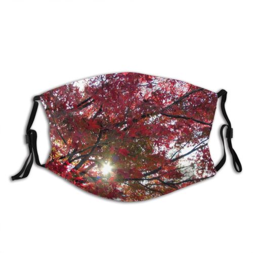 yanfind Maple Sun Autumn Woody Leaves Sky Plant Fall Branch Japan Leaf Leaf Dust Washable Reusable Filter and Reusable Mouth Warm Windproof Cotton Face