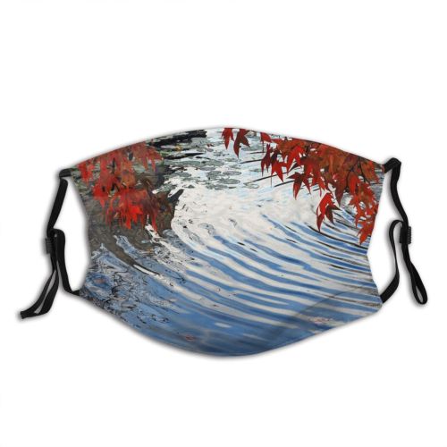 yanfind Reflections Autumn Woody Leaves Pond Ripples Reflection Fall Sky Plant Leaf Pond Dust Washable Reusable Filter and Reusable Mouth Warm Windproof Cotton Face