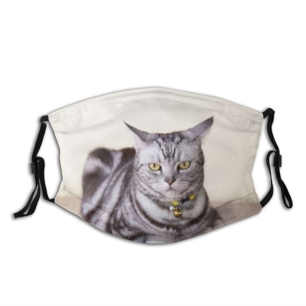 yanfind Garden Stripe Cat Cute Grey Bad Wood Pet Emotion Crouch Floor Awareness Dust Washable Reusable Filter and Reusable Mouth Warm Windproof Cotton Face