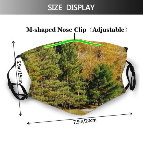 yanfind Natural Reflections Autumn Canoe Woody Wilderness Landscape Reflection Vegetation Fall Pine Waterlilies Dust Washable Reusable Filter and Reusable Mouth Warm Windproof Cotton Face