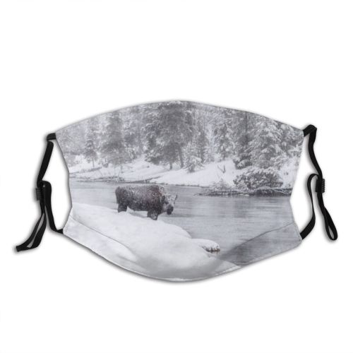 yanfind Ice Frost Landscape Frozen Wild Rural Tree Scene Snow Forest Wyoming Western Dust Washable Reusable Filter and Reusable Mouth Warm Windproof Cotton Face