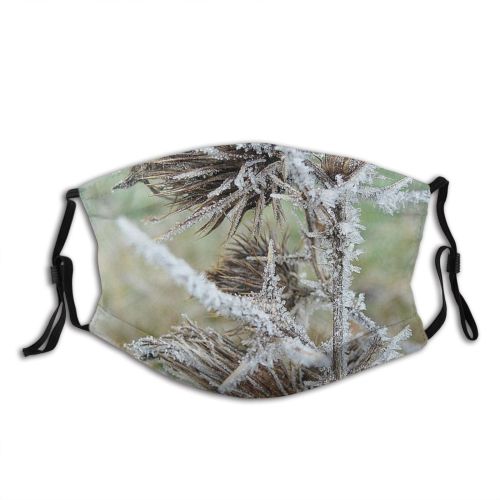 yanfind Winter Thistle Frost Plant Thorns Wildflower Plant Spines Frost Grass Winter Freezing Dust Washable Reusable Filter and Reusable Mouth Warm Windproof Cotton Face