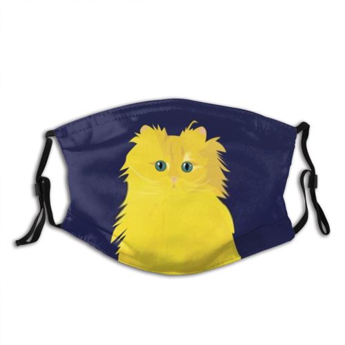 yanfind Isolated Bird Cat Cute Wildlife Design Face Feathers Art Wild Happy Portrait Dust Washable Reusable Filter and Reusable Mouth Warm Windproof Cotton Face