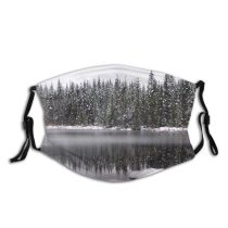 yanfind Lake Landscape Reflection Tree Winter Natural Atmospheric Freezing Snow Snow Dust Washable Reusable Filter and Reusable Mouth Warm Windproof Cotton Face
