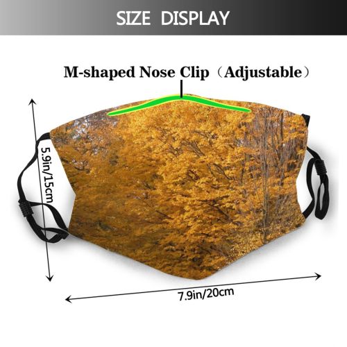 yanfind Natural Autumn Woody Warszawa Landscape Plant Leaf Tree Tree Autumn Warsaw Biome Dust Washable Reusable Filter and Reusable Mouth Warm Windproof Cotton Face