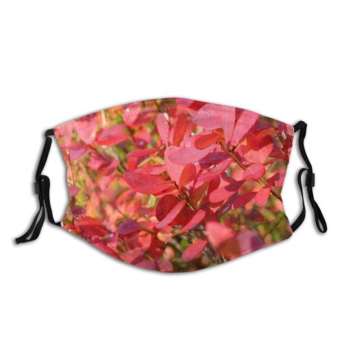 yanfind Flower Flowering Finland Leaf Plant Spring Lapland Tree Plant Autumn Petal Shrub Dust Washable Reusable Filter and Reusable Mouth Warm Windproof Cotton Face