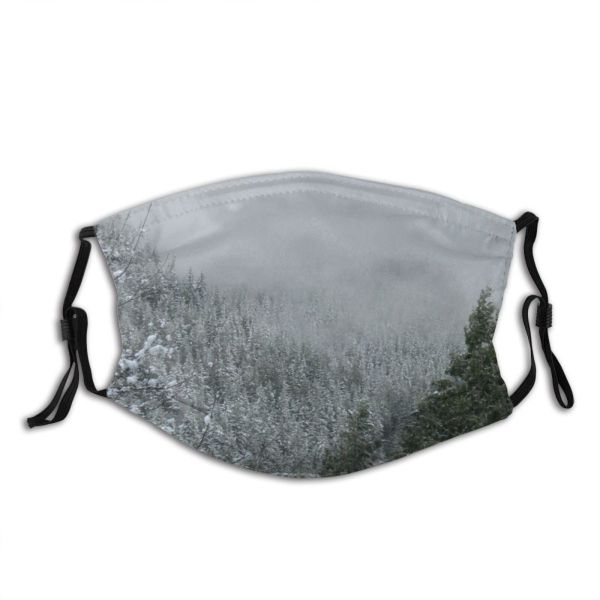 yanfind Winter Mist Snowy December Winter Atmospheric Fog Snow Sky Ice Snow Tree Dust Washable Reusable Filter and Reusable Mouth Warm Windproof Cotton Face