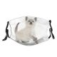 yanfind Pet Kitten Cat Cute Kitty Paw Shorthair Baby Playing Adorable Dust Washable Reusable Filter and Reusable Mouth Warm Windproof Cotton Face