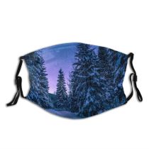 yanfind Ice Spruce Frost Night Pine Stars Snowy Forest Evergreen Branches Frozen Scenery Dust Washable Reusable Filter and Reusable Mouth Warm Windproof Cotton Face