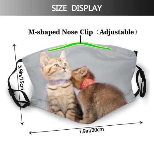 yanfind Isolated Whisker Fur Life Young Little Cat Kitty British Cute Real Active Dust Washable Reusable Filter and Reusable Mouth Warm Windproof Cotton Face