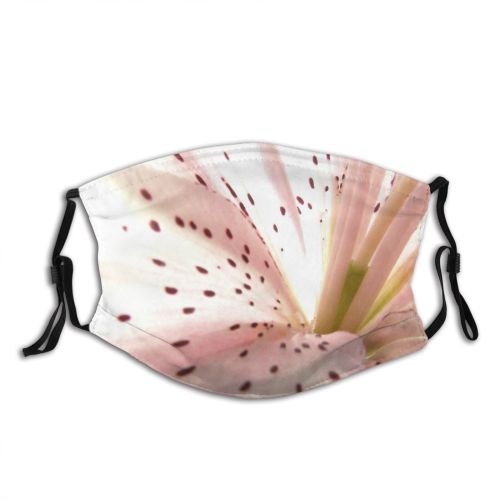 yanfind Lily Motion Fashion Beauty Spots Central Plant Petal Resort Flower Flowering Spa Dust Washable Reusable Filter and Reusable Mouth Warm Windproof Cotton Face