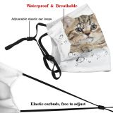 yanfind Isolated Fur Young Striped Cat Kitty Cute Whiteboard Grey Billboard Peeking Blank Dust Washable Reusable Filter and Reusable Mouth Warm Windproof Cotton Face