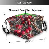 yanfind Flowering Rose Hip Hawthorn Plant Berry Tree Plant Fruit Hawthorn Plants Woody Dust Washable Reusable Filter and Reusable Mouth Warm Windproof Cotton Face
