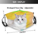 yanfind Isolated Fur Cat Kitty Cute Beautiful Show Shot Pet Cats Fluffy Eyes Dust Washable Reusable Filter and Reusable Mouth Warm Windproof Cotton Face