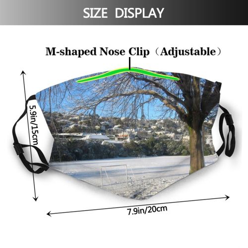 yanfind Winter Winter Natural Woody Dunedin Landscape Sky Ice Branch Snow Street Sunlight Dust Washable Reusable Filter and Reusable Mouth Warm Windproof Cotton Face