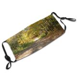 yanfind Trail Natural Autumn Leaves Landscape York Fall Road Forest Leaf Tree Forest Dust Washable Reusable Filter and Reusable Mouth Warm Windproof Cotton Face