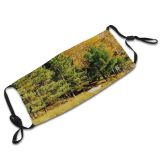 yanfind Natural Reflections Autumn Canoe Woody Wilderness Landscape Reflection Vegetation Fall Pine Waterlilies Dust Washable Reusable Filter and Reusable Mouth Warm Windproof Cotton Face