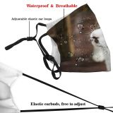 yanfind Garden Young Cat Kitty Cute Grumpy Posing Snowshoe Beautiful Pretty Pet Fluffy Dust Washable Reusable Filter and Reusable Mouth Warm Windproof Cotton Face