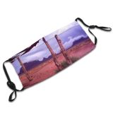 yanfind Sky Wood Morning Natural Woody Utah Cloud Landscape Sky Monument Clouds Landscapes Dust Washable Reusable Filter and Reusable Mouth Warm Windproof Cotton Face