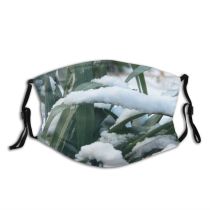 yanfind Fir Winter Cloud Sky Tree Plant Forest Winter Freezing Snow Woody Wilderness Dust Washable Reusable Filter and Reusable Mouth Warm Windproof Cotton Face