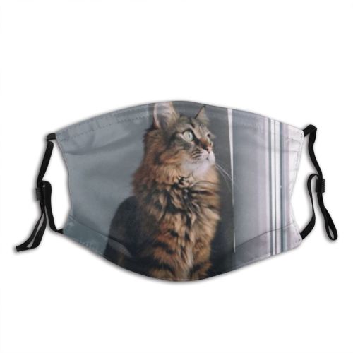 yanfind Comfort Watch Interested Fur Young Little Cat Kitty Cute Warm Window Purr Dust Washable Reusable Filter and Reusable Mouth Warm Windproof Cotton Face