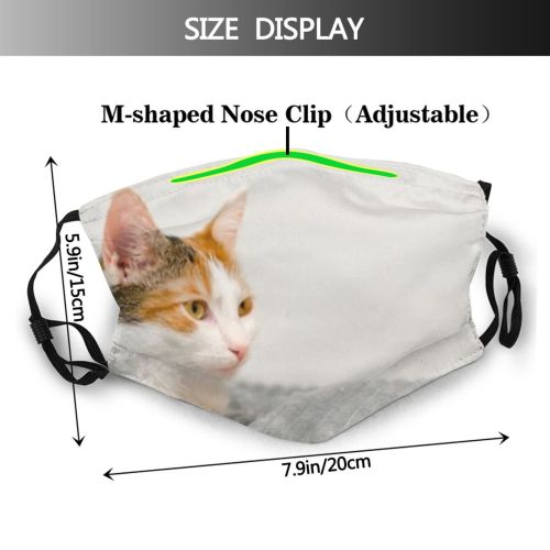 yanfind Comfortable Comfort Lovely Fur Young Bed Little Cat Kitty Cute Resting Cozy Dust Washable Reusable Filter and Reusable Mouth Warm Windproof Cotton Face