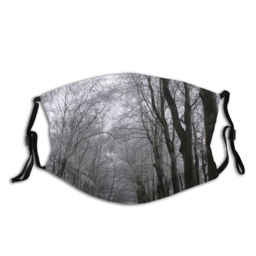 yanfind Denmark Winter Landscape Sky Tree Plant Branch Forest Natural Atmospheric Woodland Woody Dust Washable Reusable Filter and Reusable Mouth Warm Windproof Cotton Face