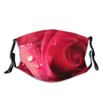 yanfind Flower Garden Flower Moisture Hybrid Roses France Macro May Spring Petal Rose Dust Washable Reusable Filter and Reusable Mouth Warm Windproof Cotton Face