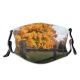 yanfind Maple Autumn Larch Woody Leaves Plant Fall Fence Wood Lanscape Leaf Tree Dust Washable Reusable Filter and Reusable Mouth Warm Windproof Cotton Face