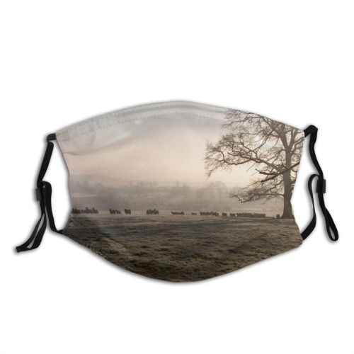 yanfind Winter Mist Field Morning Natural Winter Atmospheric Fog England Landscape Sky Tree Dust Washable Reusable Filter and Reusable Mouth Warm Windproof Cotton Face