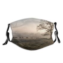 yanfind Winter Mist Field Morning Natural Winter Atmospheric Fog England Landscape Sky Tree Dust Washable Reusable Filter and Reusable Mouth Warm Windproof Cotton Face