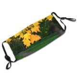 yanfind Maple Autumn Woody Leaves Colours Vegetation Maple Plant Fall Leaf Leaf Tree Dust Washable Reusable Filter and Reusable Mouth Warm Windproof Cotton Face