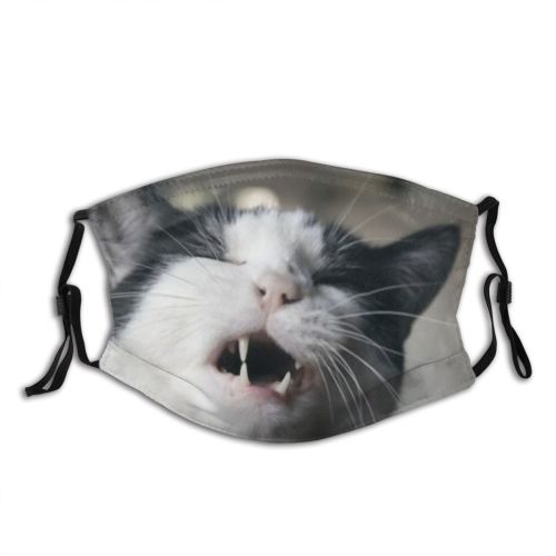 yanfind Exposed Whisker Fur Young Piebald Cat Kitty Shorthair Vet Open Hissing Grimace Dust Washable Reusable Filter and Reusable Mouth Warm Windproof Cotton Face