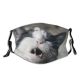 yanfind Exposed Whisker Fur Young Piebald Cat Kitty Shorthair Vet Open Hissing Grimace Dust Washable Reusable Filter and Reusable Mouth Warm Windproof Cotton Face