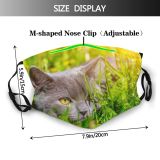 yanfind Garden Fur Young Cat Kitty British Cute Active Pedigreed Meadow Summer Dandelion Dust Washable Reusable Filter and Reusable Mouth Warm Windproof Cotton Face
