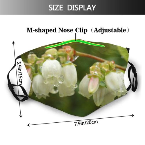 yanfind Plant Dewdrop Flower Dew Blossom Flower Plant Drop Vaccinium Spring Vaccinium Cyanococcus Dust Washable Reusable Filter and Reusable Mouth Warm Windproof Cotton Face