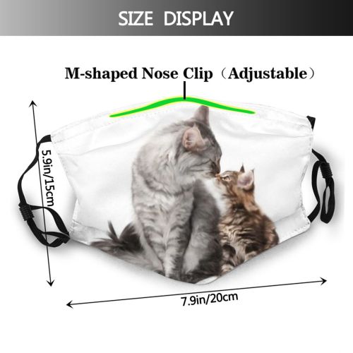 yanfind Isolated Whisker Young Striped Cat Cute Curiosity Love Tabby Eye Kitten Pair Dust Washable Reusable Filter and Reusable Mouth Warm Windproof Cotton Face