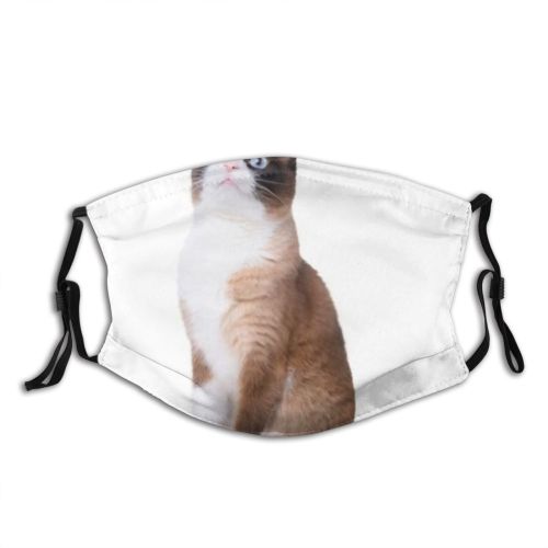 yanfind Isolated Fur Snow Cat Kitty Cute Shorthair Grumpy Mouth Posing Snowshoe Stand Dust Washable Reusable Filter and Reusable Mouth Warm Windproof Cotton Face