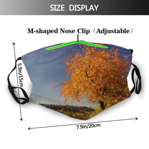 yanfind Hill Natural Autumn Woody Landscape Sky Czech Plant Branch Europe Forest Leaf Dust Washable Reusable Filter and Reusable Mouth Warm Windproof Cotton Face