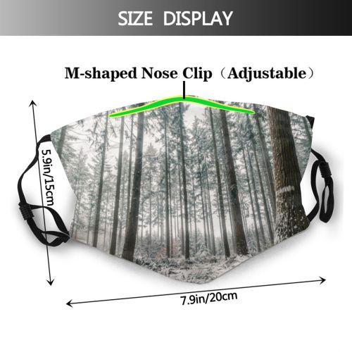 yanfind Public Frost Denmark Autumn Coniferous Tranquility Tree Scene Snow Treelined Forest Way Dust Washable Reusable Filter and Reusable Mouth Warm Windproof Cotton Face