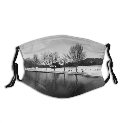 yanfind Frost Scenery Winter Contrast Grey Frosty Snow Landscape Sky Snow Forest Coldness Dust Washable Reusable Filter and Reusable Mouth Warm Windproof Cotton Face