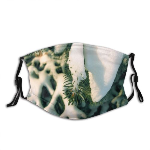 yanfind Fir Winter Colorado Pine Forest Leaf Plant Conifer Tree Christmas Branch Spruce Dust Washable Reusable Filter and Reusable Mouth Warm Windproof Cotton Face