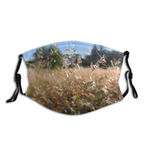 yanfind Family Vegetation Landscape Sky Plant Spring Grass Natural Grass Morning Ecoregion Wheat Dust Washable Reusable Filter and Reusable Mouth Warm Windproof Cotton Face