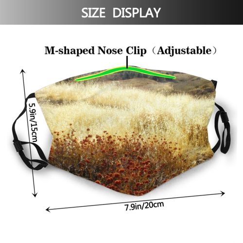 yanfind Grasses Natural Autumn Wilderness Vegetation Landscape Sky Plant Fall Hills Community Grassland Dust Washable Reusable Filter and Reusable Mouth Warm Windproof Cotton Face
