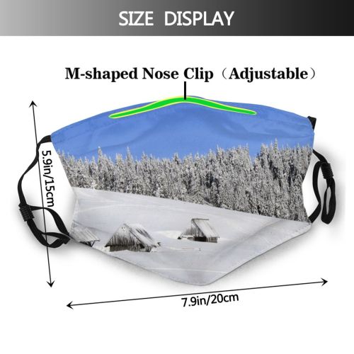 yanfind Winter Geological Landscape Mountain Sky Terrain Slope Piste Tree Winter Alpine Freezing Dust Washable Reusable Filter and Reusable Mouth Warm Windproof Cotton Face
