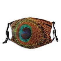 yanfind Iris Natural Peacock Art Fractal Graphics Accessory Feather Eye Peacocks Plume Macro Dust Washable Reusable Filter and Reusable Mouth Warm Windproof Cotton Face